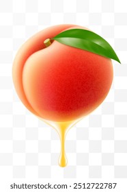 Peach juice Dripping From Fresh ripe peach, isolated on transparent background. Sweet peach with fresh juice. Bright summer design. Realistic 3d vector illustration