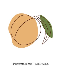 a peach with a leaf drawn in a solid line against a background of light orange and green spots on a white background