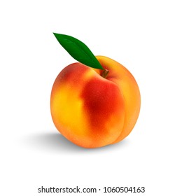 peach with leaf isolated on white background, vector illustration