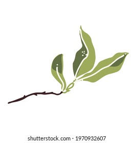 Peach leaf Logo Design Illustration on a white background