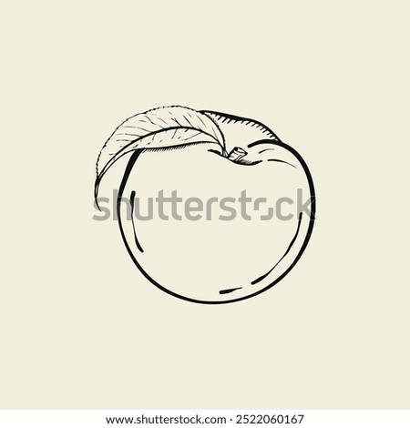 Peach with leaf on isolated background. Hand drawn sketch style. Vintage.