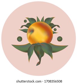 Peach in leafs vector illustration EPS 10 