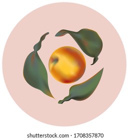 Peach in hojas símbolo de ilustración vectorial