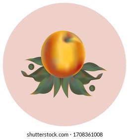 Peach in leafs vector illustration symbol
