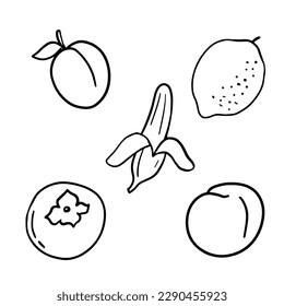 Peach, lemon, and banana doodle illustrations. Outline cute fruits