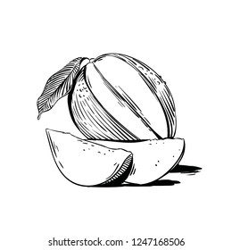 peach line art