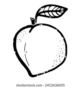 Peach. Line art, doodle, texture outline. Hand drawing. Vector element.