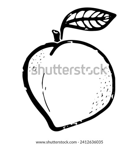 Peach. Line art, doodle, texture outline. Hand drawing. Vector element.