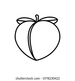 Peach line icon vector fruit symbol