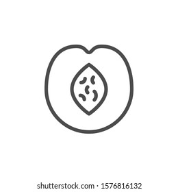 Peach line outline icon fruit concept