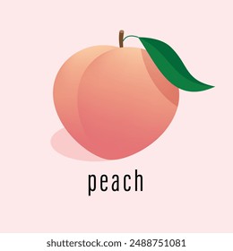 peach logo vector template. peach in flat card