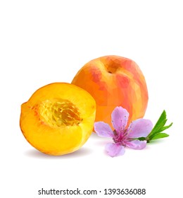 Peach low poly. Bloom of peach. Fresh, nutritious, tasty peach. Delicious and healthy dessert. Elements for label design. Vector illustration. Fruits ingredients in triangulation technique.