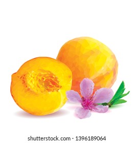 Peach low poly. Bloom of peach. Fresh, nutritious, tasty peach. Delicious and healthy dessert. Elements for label design. Vector illustration. Fruits ingredients in triangulation technique.