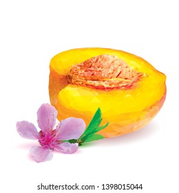Peach low poly. Bloom of peach. Fresh, nutritious, tasty peach. Delicious and healthy dessert. Elements for label design. Vector illustration. Fruits ingredients in triangulation technique.