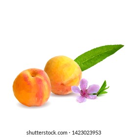 Peach low poly. Bloom of peach. Fresh, nutritious, tasty peach. Delicious and healthy dessert. Elements for label design. Vector illustration. Fruits ingredients in triangulation technique. 