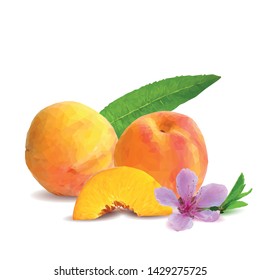 Peach low poly. Bloom of peach. Fresh, nutritious, tasty peach. Delicious and healthy dessert. Elements for label design. Vector illustration. Fruits ingredients in triangulation technique. 