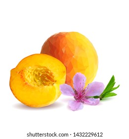Peach low poly. Bloom of peach. Fresh, nutritious, tasty peach. Delicious and healthy dessert. Elements for label design. Vector illustration. Fruits ingredients in triangulation technique. 