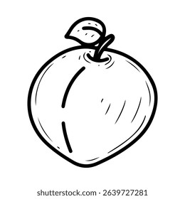 Peach on a branch with a leaf. Hand drawn doodle vector. Summer sweet tree fruit. Nectarine. Seasonal vitamins. Fresh organic food. Berry with a stone inside the pulp. Illustration line art element.