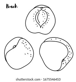 Peach on a Light Background, Line Style, Black and White Vector Illustration