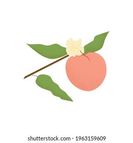 Peach on en una ramilla, icono, para impresión, para decoración, ilustración vectorial con textura. Aislado.