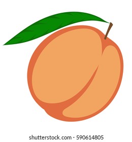 peach on white background