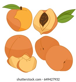 Peach on white background