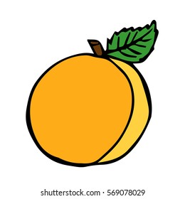 Peach on white background vector illustration.  Cloth design, wallpaper, wrapping, textiles, paper, cards, invitations, holiday