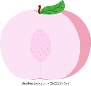 peach, open, seed, half, cute
