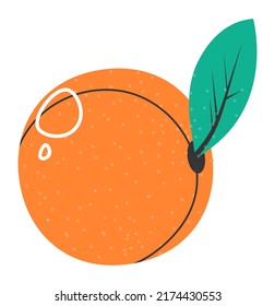 Peach or orange, sweet fruit with leaf. Organic and tasty meal. Refreshing ingredient or snack, nectarine or mandarin. Summer seasonal treats and delicious grown berries. Vector in flat style