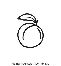 Peach outline icon and vector illustration