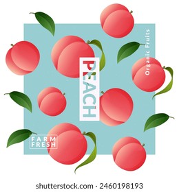 Peach packaging design templates. Modern style vector illustration.