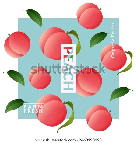 Peach packaging design templates. Modern style vector illustration.