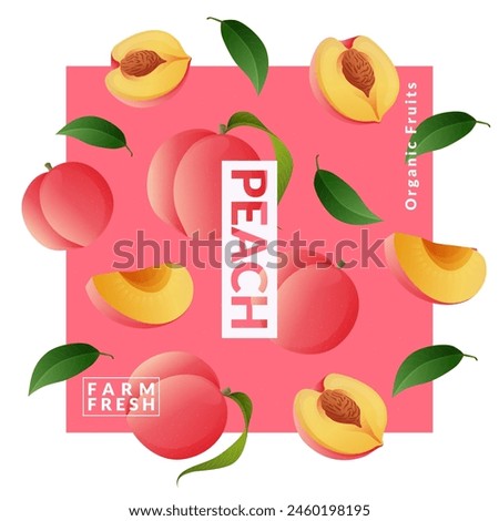 Peach packaging design templates. Modern style vector illustration.