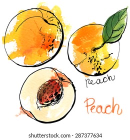 Peach painted with watercolors on white background. Half of peach, bright fruit, abstract spots.