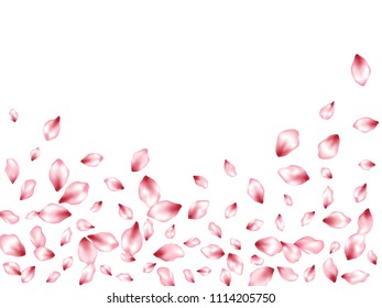 Peach petals flying vector floral background. Spring falling flower parts confetti, blossom elements valentine design. Light flower blossom petals poster vector background.