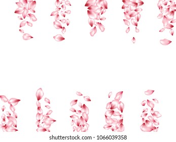 Peach petals flying vector greeting card background. Spring falling flower parts confetti, blossom elements april design. Japanese cherry flower blossom petals background vector.