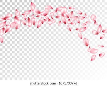 Peach petals flying vector greeting card background. Spring falling flower parts confetti, blossom elements anniversary design. Trendy flower blossom petals banner vector background.