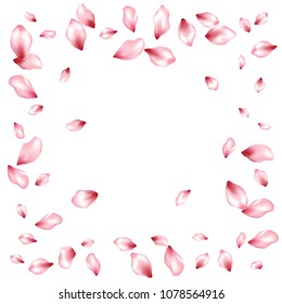 Peach petals flying vector greeting card background. Spring falling flower parts confetti, blossom elements wedding design. Chinese cherry flower blossom petals vector poster background.