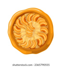 Peach pie, view from above vector illustration. Cartoon isolated whole round baked tart with fruit slices on top of custard or curd, sweet rustic cake with apricot, peach or nectarine pieces filling