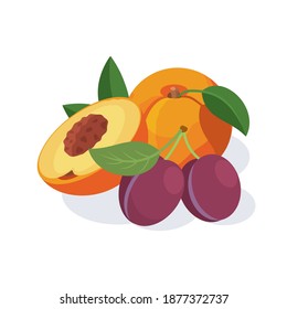 Peach and plum. Peach and plum. Vector 3d isometric, color web icons set, new flat style.