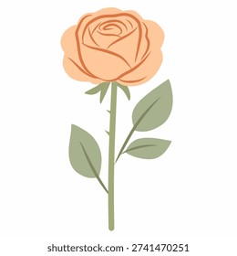 Peach rose bloom in flat style for romantic theme. Ideal for wedding cards, invitations, packaging, and prints.