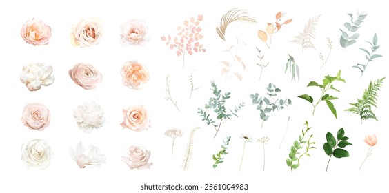 Peach rose, white peony, magnolia, blush pink ranunculus, eucalyptus, eucalyptus, wildflowers, greenery vector design set. Floral summer watercolor. Wedding blooms. Elements are isolated and editable