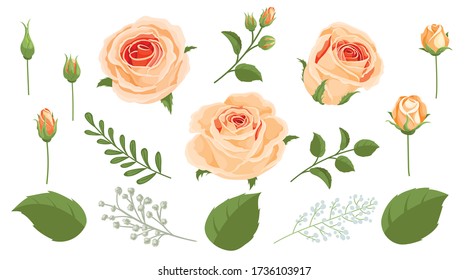 Pfirsichrosen Straußelemente für Bouquetgebäude. Vintage Retro Stil Vektorzeichnungen für Einladungen, Grußkarten und andere. Vector Illustrationen isoliert auf weißem Hintergrund.