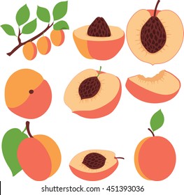 Peach. Set peaches, pieces and slices
