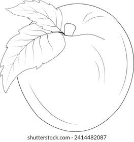 Peach silhouette. Peach with stem and leaf. Natural product. Healthy eating and diet. Design of greeting cards, posters, patches, prints on clothes, emblems. Juicy peach.