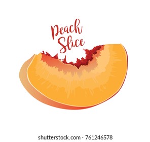 peach slice vector