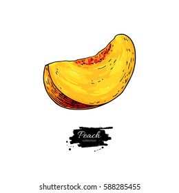 Peach slice vector drawing. Isolated hand drawn object on white background.  Summer fruit artistic style illustration. Detailed bright vegetarian food. Great for label, poster, print