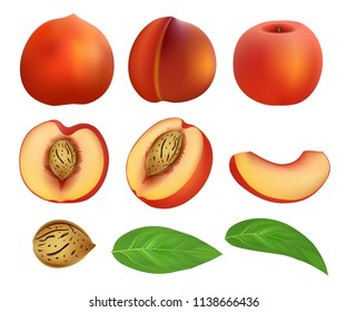 Peach slices fruit half leaf mockup set. Flat illustration of 9 peach slices fruit half leaf vector mockups for web