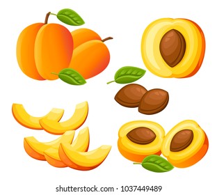 Peach and slices of peaches. Vector illustration of peaches. Vector illustration for decorative poster, emblem natural product, farmers market. Website page and mobile app design