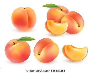 Peach Sweet fruit. Realistic illustration